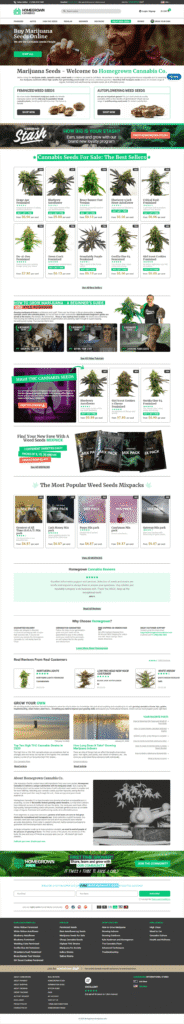 Website Project 02